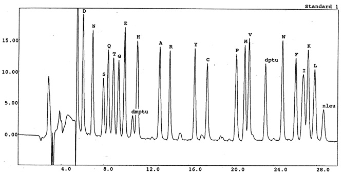 Pth.jpg (52113 bytes)