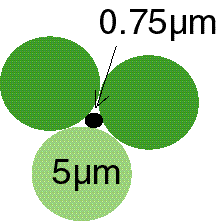 micron1.GIF (4190 bytes)